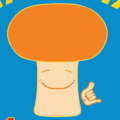 Malama Mushrooms Voucher Code