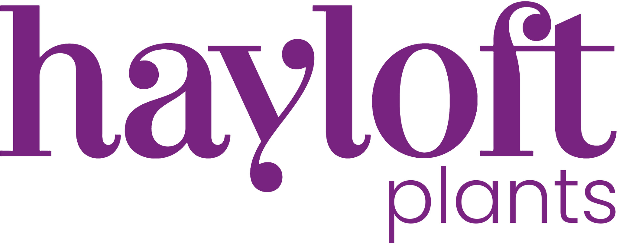 Hayloft Voucher Code